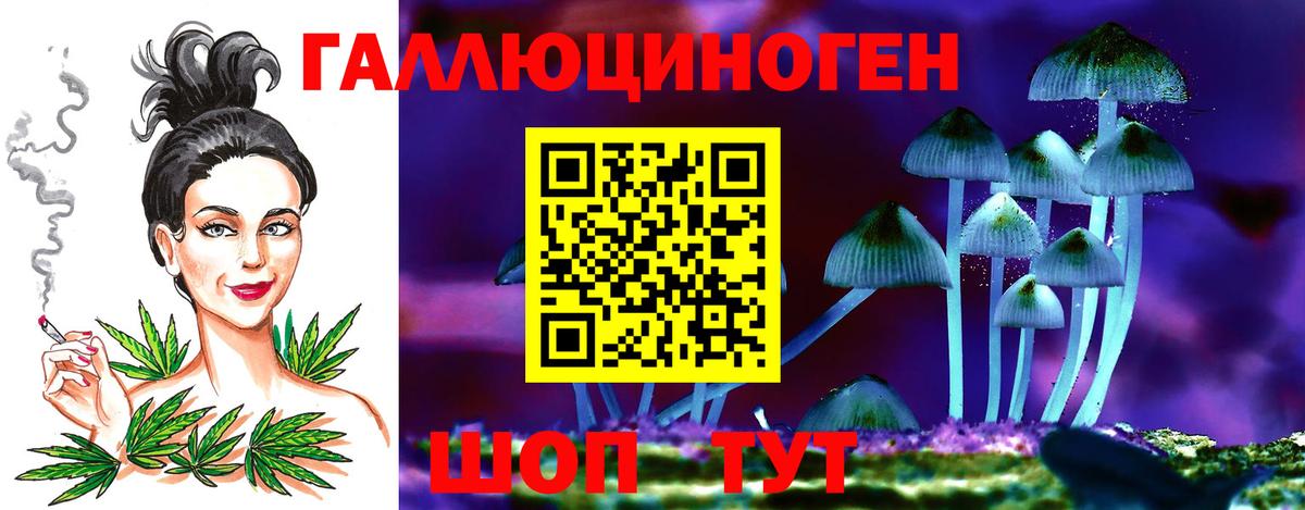 Псилоцибиновые грибы мухоморы Элиста