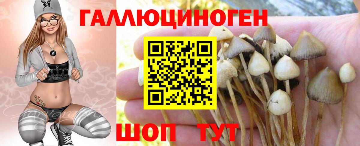 Метадон  Меф   Лсд 25  Кокаин  Элиста  Экстази  Купить наркотик  Марихуана  ГАШ  NBOMe  Вход с VPN 