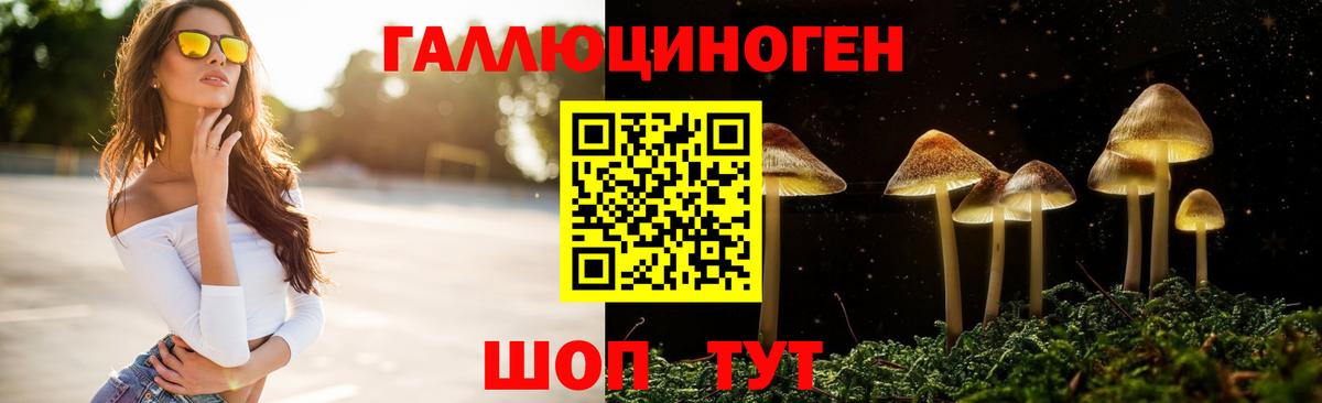 Элиста  Псилоцибиновые грибы мицелий  Вход с VPN 