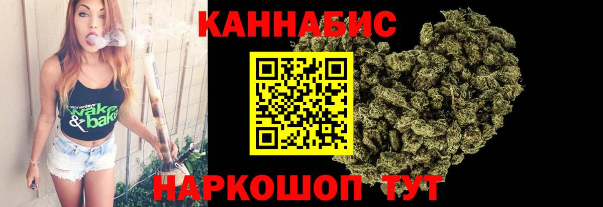 МЕФ Элиста
